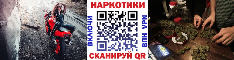 Купить наркоту Новая Ладога МАРИХУАНА  СК  ГАШ  Героин  COCAIN 