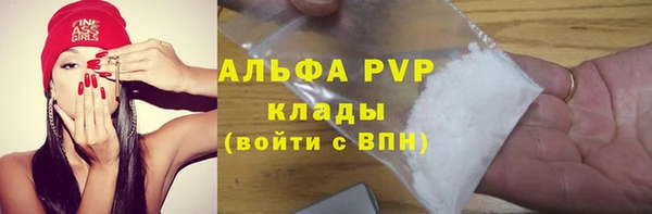 метадон Алексин