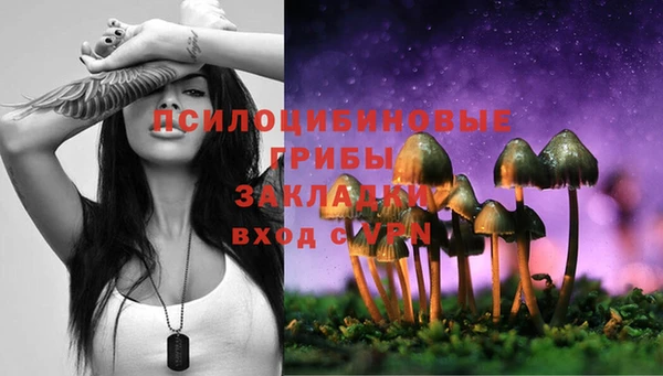 метадон Алексин