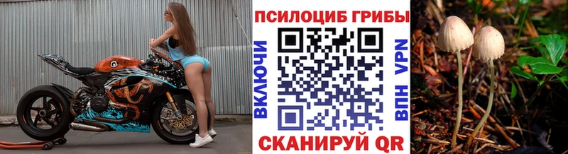 Псилоцибиновые грибы GOLDEN TEACHER  Новая Ладога 